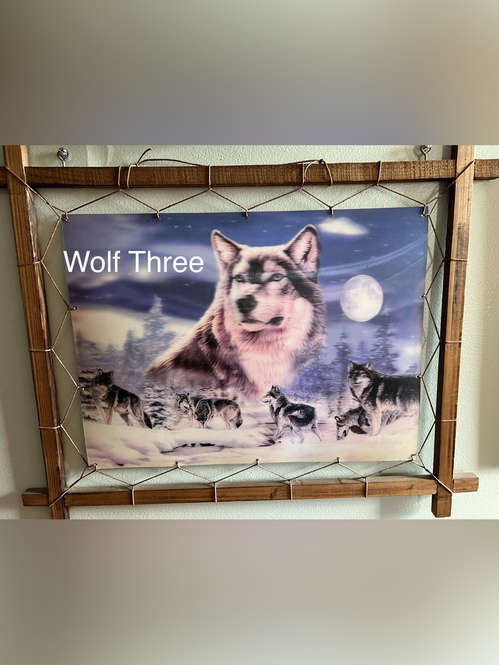 Pick One: Majestic Wolf Pictures - Picture 6 of 9